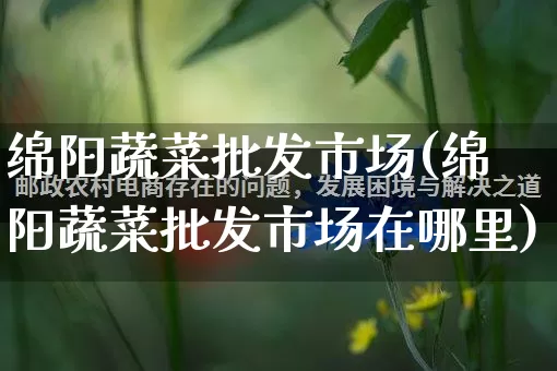 绵阳蔬菜批发市场(绵阳蔬菜批发市场在哪里)_https://www.rzcpcj.com_天猫运营_第1张