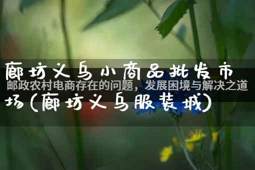 廊坊义乌小商品批发市场(廊坊义乌服装城)_https://www.rzcpcj.com_代运营_第1张