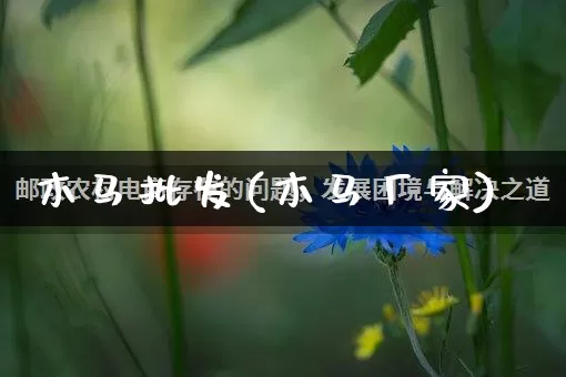 木马批发(木马厂家)_https://www.rzcpcj.com_抖音快手_第1张