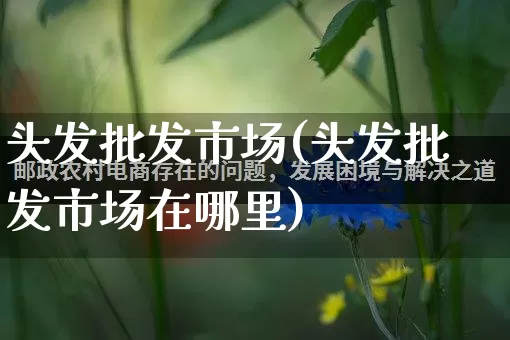 头发批发市场(头发批发市场在哪里)_https://www.rzcpcj.com_开网店_第1张