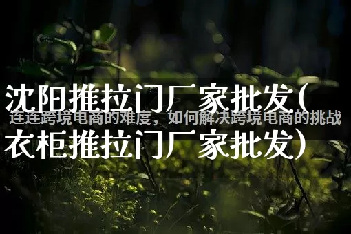 沈阳推拉门厂家批发(衣柜推拉门厂家批发)_https://www.rzcpcj.com_开网店_第1张