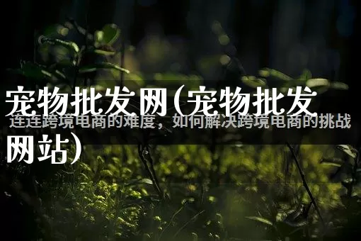 宠物批发网(宠物批发网站)_https://www.rzcpcj.com_开网店_第1张