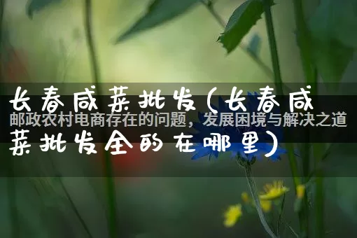 长春咸菜批发(长春咸菜批发全的在哪里)_https://www.rzcpcj.com_淘宝运营_第1张