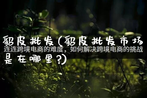 貂皮批发(貂皮批发市场是在哪里?)_https://www.rzcpcj.com_抖音快手_第1张