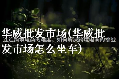 华威批发市场(华威批发市场怎么坐车)_https://www.rzcpcj.com_天猫运营_第1张