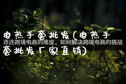 电热手套批发(电热手套批发厂家直销)_直通车_第1张_电商运营网 电热手套批发(电热手套批发厂家直销)_https://www.rzcpcj.com_直通车_第1张