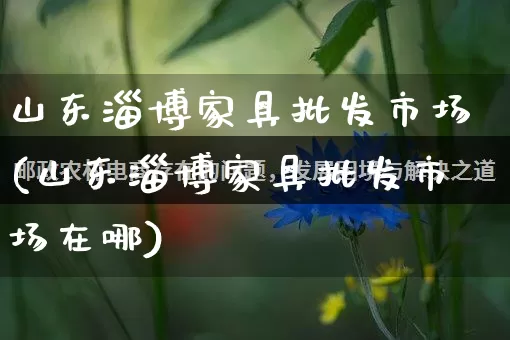 山东淄博家具批发市场(山东淄博家具批发市场在哪)_https://www.rzcpcj.com_抖音快手_第1张
