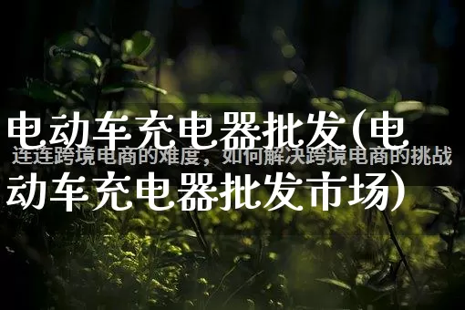 电动车充电器批发(电动车充电器批发市场)_https://www.rzcpcj.com_抖音快手_第1张