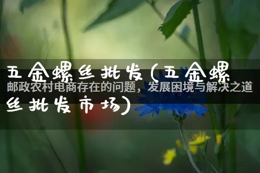 五金螺丝批发(五金螺丝批发市场)_https://www.rzcpcj.com_开网店_第1张