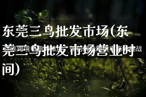 东莞三鸟批发市场(东莞三鸟批发市场营业时间)_https://www.rzcpcj.com_抖音快手_第1张