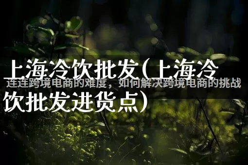 上海冷饮批发(上海冷饮批发进货点)_https://www.rzcpcj.com_开网店_第1张