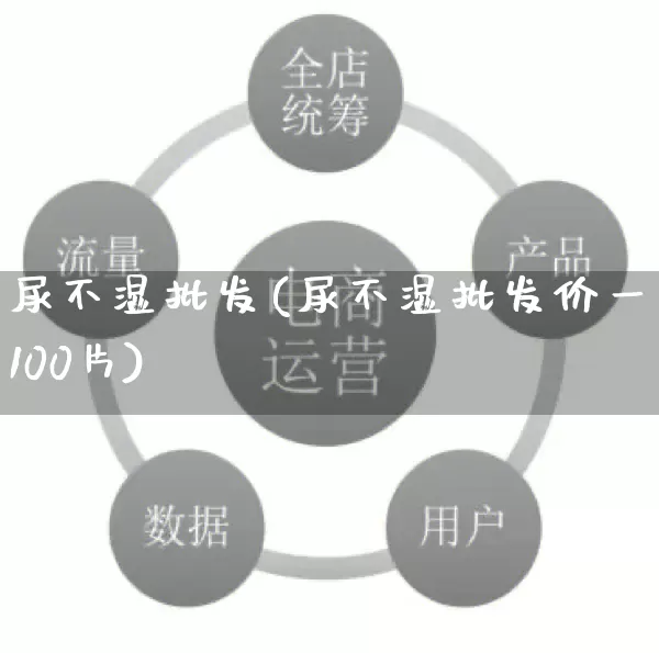 尿不湿批发(尿不湿批发价一包100片)_https://www.rzcpcj.com_代运营_第1张