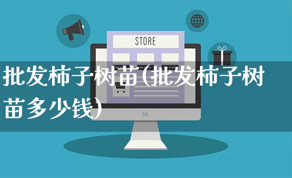 批发柿子树苗(批发柿子树苗多少钱)_https://www.rzcpcj.com_淘宝运营_第1张