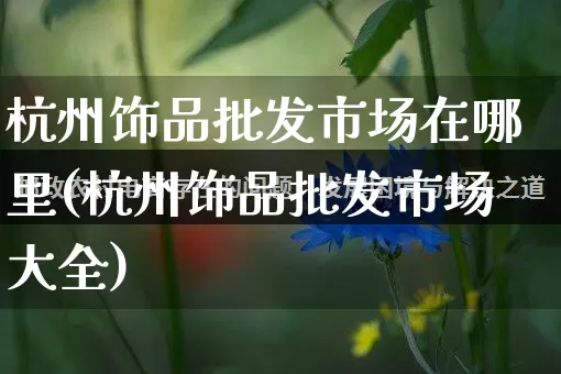 杭州饰品批发市场在哪里(杭州饰品批发市场大全)_https://www.rzcpcj.com_淘宝运营_第1张