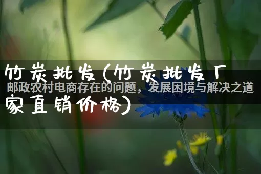 竹炭批发(竹炭批发厂家直销价格)_https://www.rzcpcj.com_直通车_第1张
