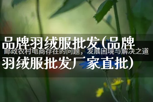 品牌羽绒服批发(品牌羽绒服批发厂家直批)_https://www.rzcpcj.com_淘宝运营_第1张