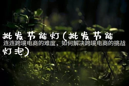 批发节能灯(批发节能灯泡)_https://www.rzcpcj.com_开网店_第1张