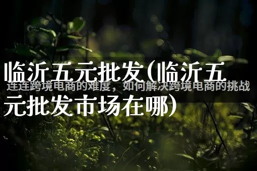 临沂五元批发(临沂五元批发市场在哪)_https://www.rzcpcj.com_直通车_第1张