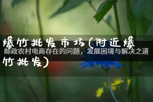 爆竹批发市场(附近爆竹批发)_开网店_第1张_电商运营网 爆竹批发市场(附近爆竹批发)_https://www.rzcpcj.com_开网店_第1张