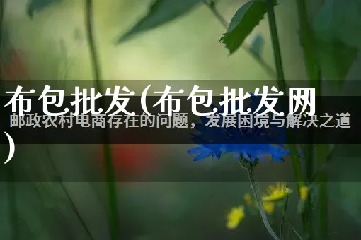 布包批发(布包批发网)_https://www.rzcpcj.com_代运营_第1张