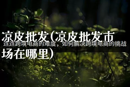 凉皮批发(凉皮批发市场在哪里)_https://www.rzcpcj.com_抖音快手_第1张