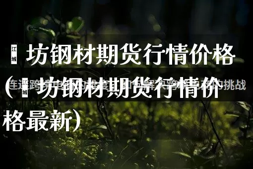 潍坊钢材期货行情价格(潍坊钢材期货行情价格最新)_https://www.rzcpcj.com_直通车_第1张
