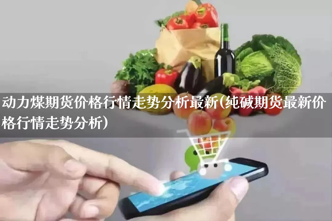 动力煤期货价格行情走势分析最新(纯碱期货最新价格行情走势分析)_https://www.rzcpcj.com_直通车_第1张