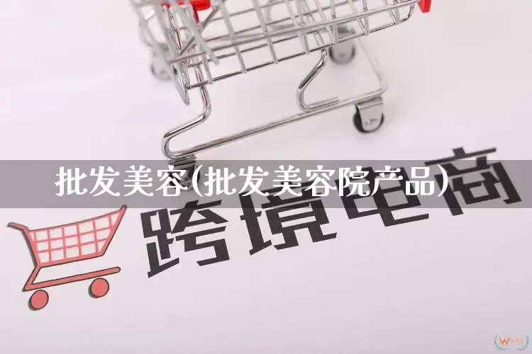 批发美容(批发美容院产品)_https://www.rzcpcj.com_代运营_第1张