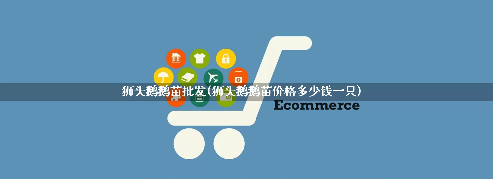 狮头鹅鹅苗批发(狮头鹅鹅苗价格多少钱一只)_https://www.rzcpcj.com_直通车_第1张