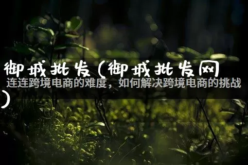 御城批发(御城批发网)_https://www.rzcpcj.com_开网店_第1张