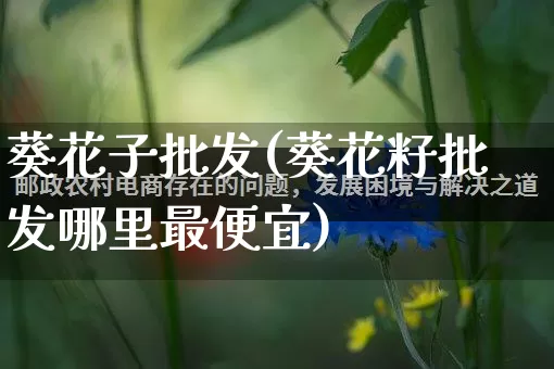 葵花子批发(葵花籽批发哪里最便宜)_https://www.rzcpcj.com_淘宝运营_第1张