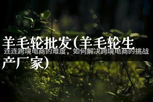 羊毛轮批发(羊毛轮生产厂家)_https://www.rzcpcj.com_天猫运营_第1张