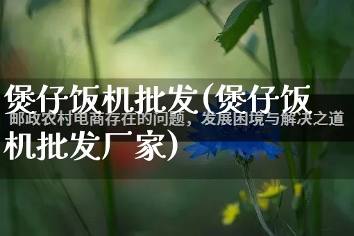 煲仔饭机批发(煲仔饭机批发厂家)_https://www.rzcpcj.com_代运营_第1张