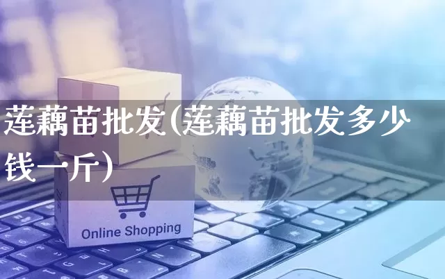莲藕苗批发(莲藕苗批发多少钱一斤)_https://www.rzcpcj.com_代运营_第1张