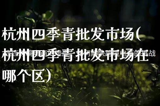 杭州四季青批发市场(杭州四季青批发市场在哪个区)_https://www.rzcpcj.com_淘宝运营_第1张