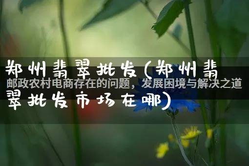 郑州翡翠批发(郑州翡翠批发市场在哪)_https://www.rzcpcj.com_代运营_第1张