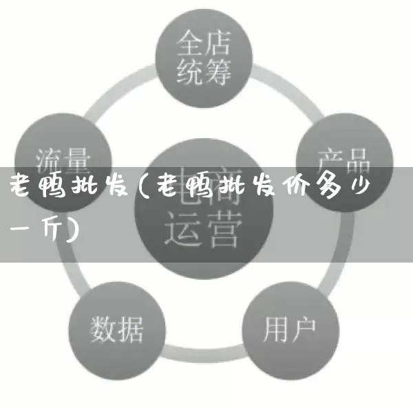 老鸭批发(老鸭批发价多少一斤)_https://www.rzcpcj.com_直通车_第1张