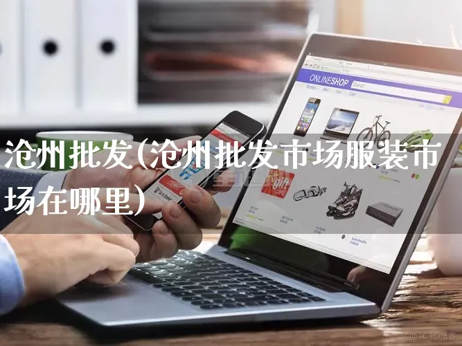 沧州批发(沧州批发市场服装市场在哪里)_https://www.rzcpcj.com_代运营_第1张