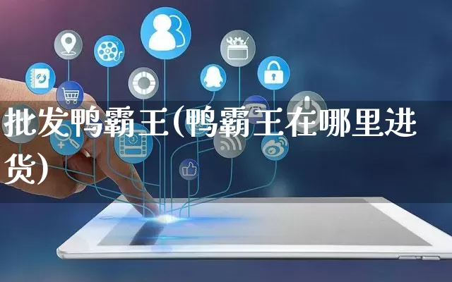 批发鸭霸王(鸭霸王在哪里进货)_https://www.rzcpcj.com_抖音快手_第1张