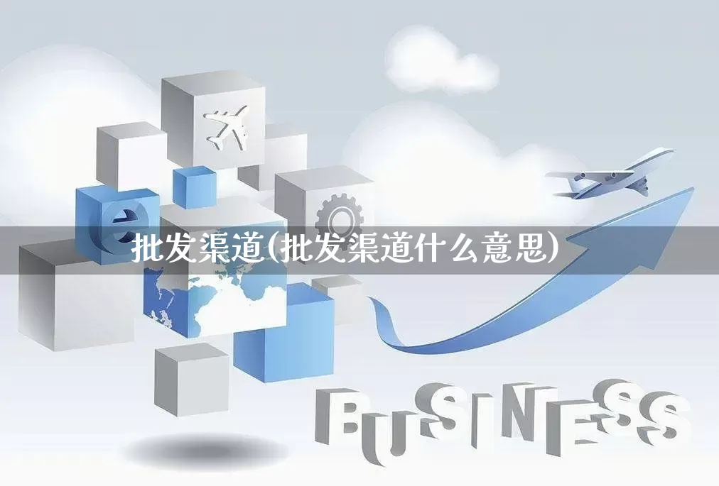 批发渠道(批发渠道什么意思)_https://www.rzcpcj.com_代运营_第1张