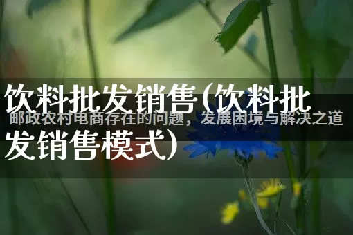 饮料批发销售(饮料批发销售模式)_https://www.rzcpcj.com_抖音快手_第1张