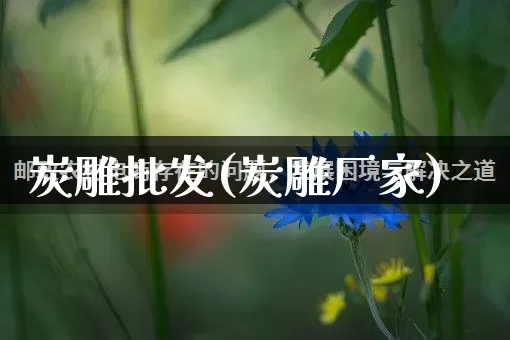 炭雕批发(炭雕厂家)_https://www.rzcpcj.com_抖音快手_第1张