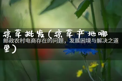 凉草批发(凉草产地哪里)_https://www.rzcpcj.com_淘宝运营_第1张