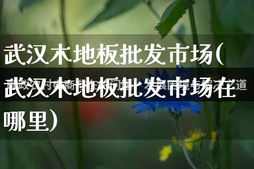 武汉木地板批发市场(武汉木地板批发市场在哪里)_https://www.rzcpcj.com_开网店_第1张