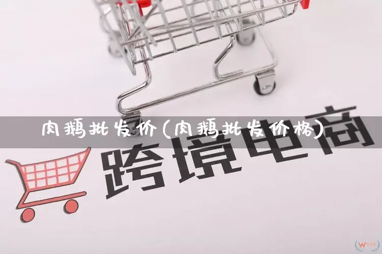 肉鹅批发价(肉鹅批发价格)_https://www.rzcpcj.com_抖音快手_第1张