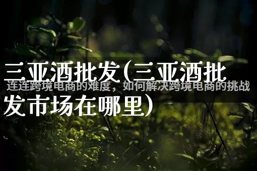三亚酒批发(三亚酒批发市场在哪里)_https://www.rzcpcj.com_代运营_第1张
